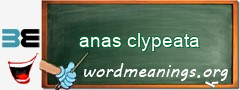 WordMeaning blackboard for anas clypeata